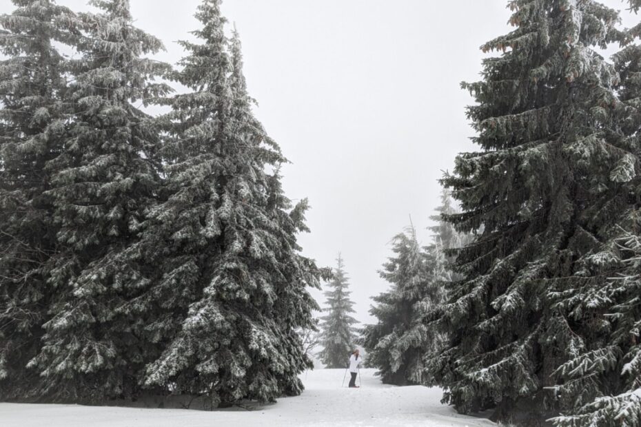 Schwartzwald winter