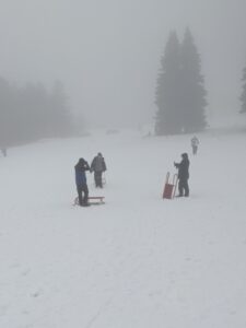 Toboggan in the snow at Feldberg, Black Forest, Schwartzwald winter holiday