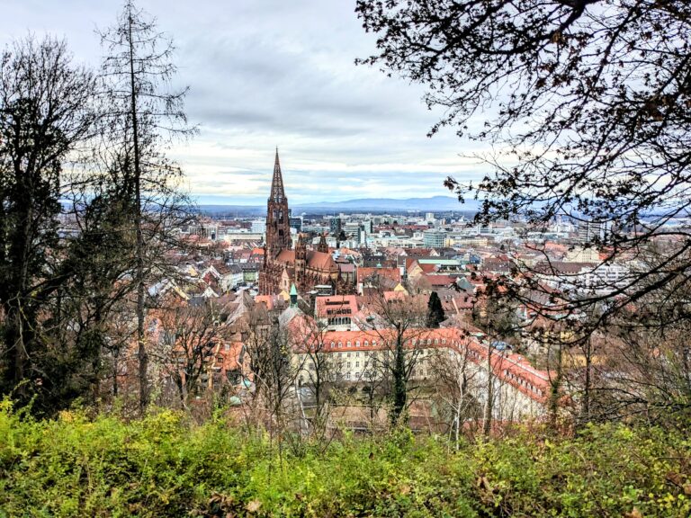 View over Freiberg, Black Forest, Schwartzwald winter holiday